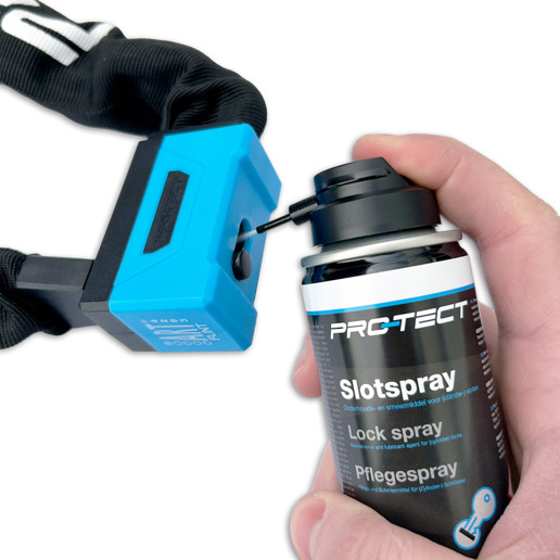 410005 PRO-TECT Pflegespray 100 ml